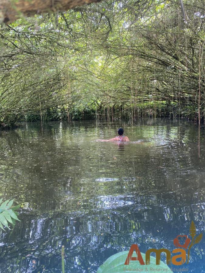 Ama Ecolodge Misahualli Bagian luar foto