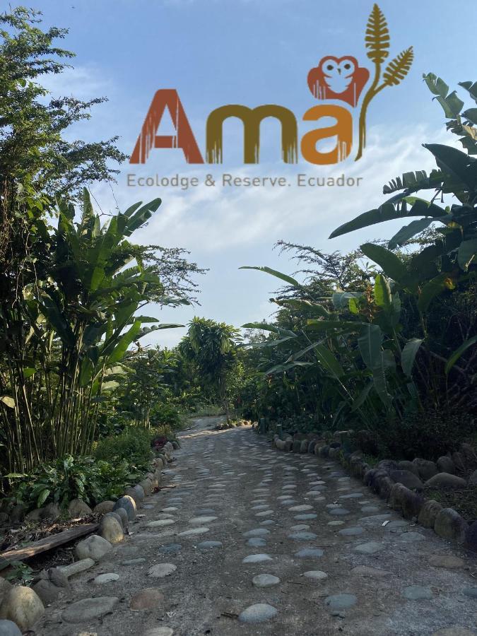 Ama Ecolodge Misahualli Bagian luar foto