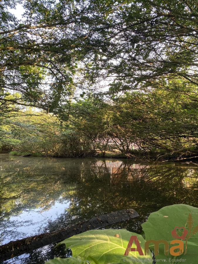 Ama Ecolodge Misahualli Bagian luar foto